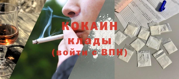 прущая мука Вяземский
