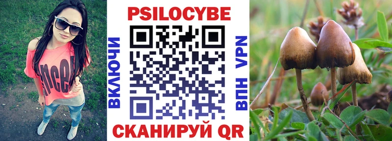 Псилоцибиновые грибы прущие грибы  Калач-на-Дону 